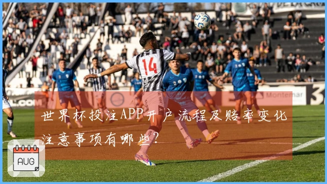 世界杯投注APP开户流程及赔率变化注意事项有哪些？