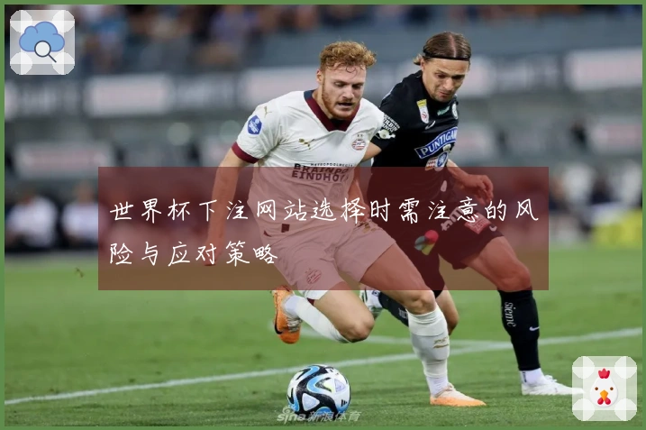 世界杯下注网站选择时需注意的风险与应对策略