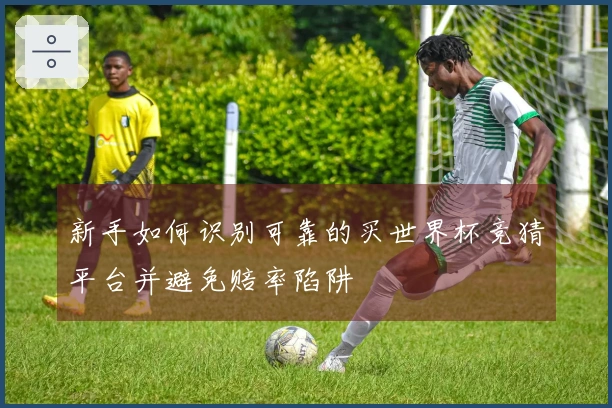 新手如何识别可靠的买世界杯竞猜平台并避免赔率陷阱