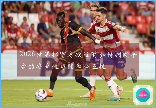 2026世界杯官方投注时如何判断平台的安全性与赔率公正性