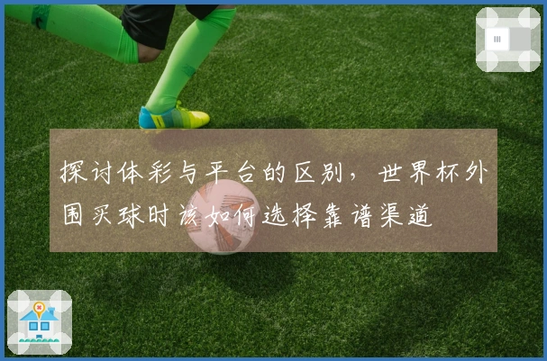 探讨体彩与平台的区别，世界杯外围买球时该如何选择靠谱渠道