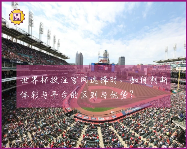 世界杯投注官网选择时，如何判断体彩与平台的区别与优势？