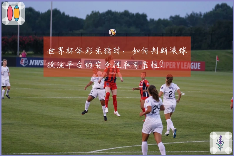 世界杯体彩竞猜时，如何判断滚球投注平台的安全性和可靠性？