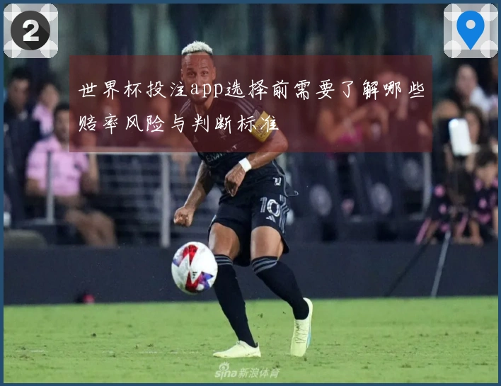世界杯投注app选择前需要了解哪些赔率风险与判断标准