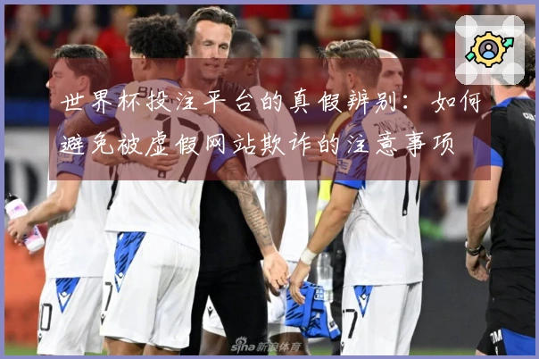 世界杯投注平台的真假辨别：如何避免被虚假网站欺诈的注意事项