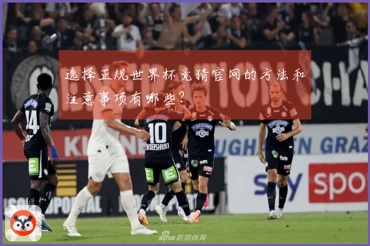 选择正规世界杯竞猜官网的方法和注意事项有哪些？