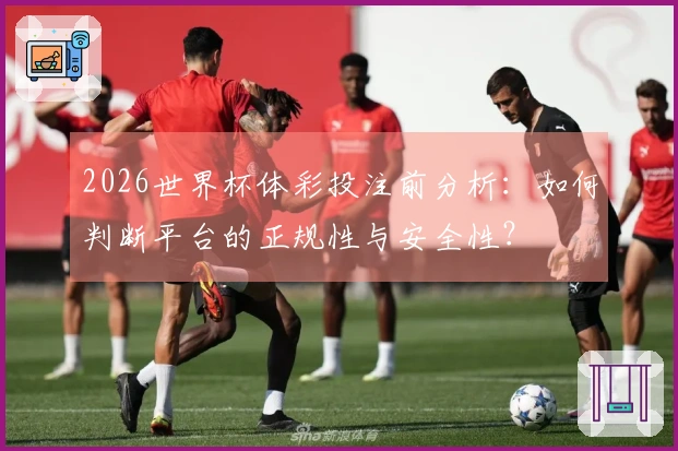 2026世界杯体彩投注前分析：如何判断平台的正规性与安全性？
