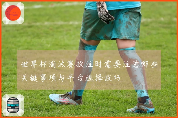 世界杯淘汰赛投注时需要注意哪些关键事项与平台选择技巧