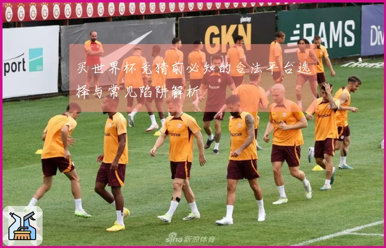 买世界杯竞猜前必知的合法平台选择与常见陷阱解析
