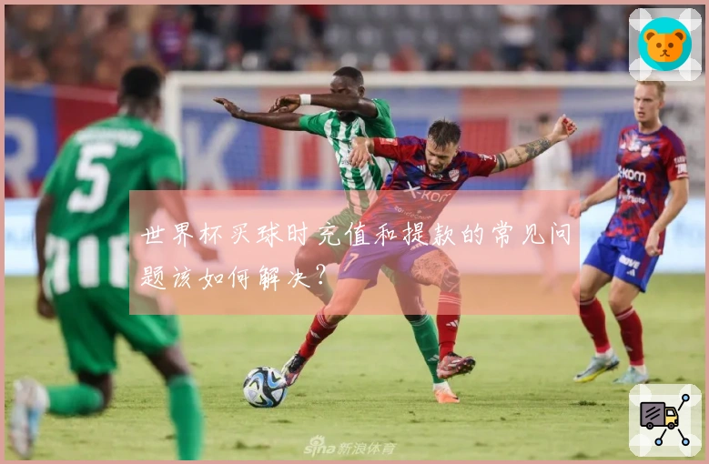 世界杯买球时充值和提款的常见问题该如何解决？