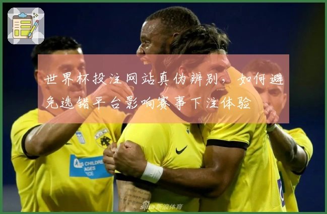 世界杯投注网站真伪辨别，如何避免选错平台影响赛事下注体验