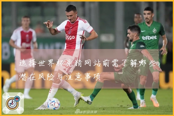 选择世界杯竞猜网站前需了解哪些潜在风险与注意事项