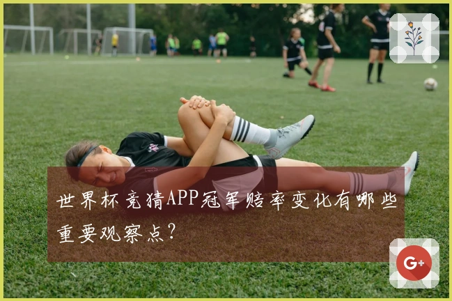 世界杯竞猜APP冠军赔率变化有哪些重要观察点？