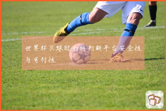 世界杯买球时如何判断平台安全性与可行性