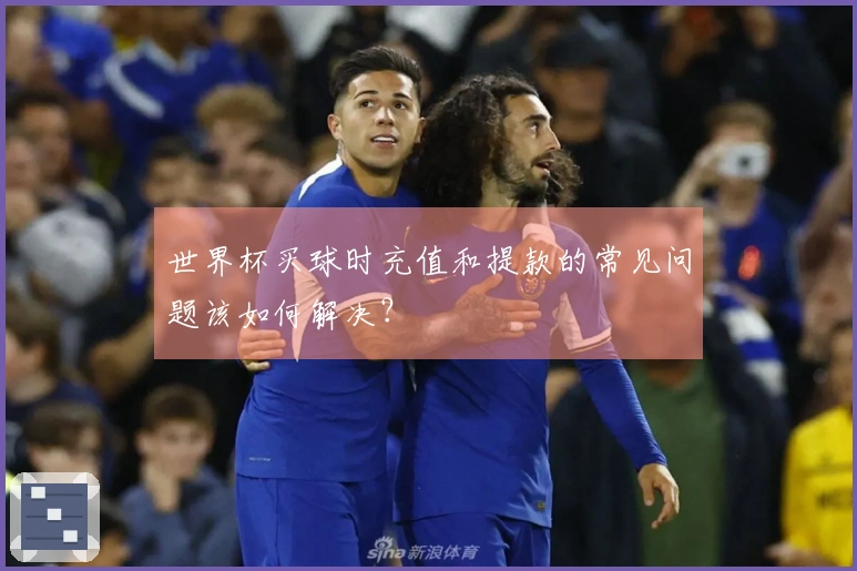 世界杯买球时充值和提款的常见问题该如何解决？