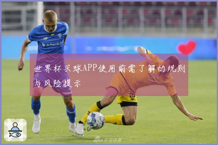 世界杯买球APP使用前需了解的规则与风险提示