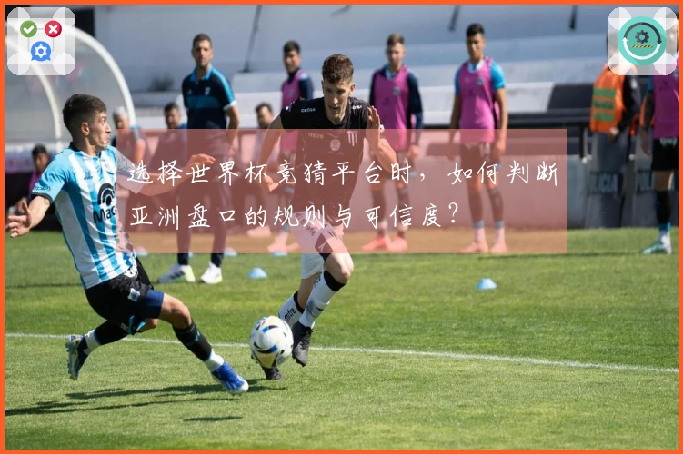 选择世界杯竞猜平台时，如何判断亚洲盘口的规则与可信度？