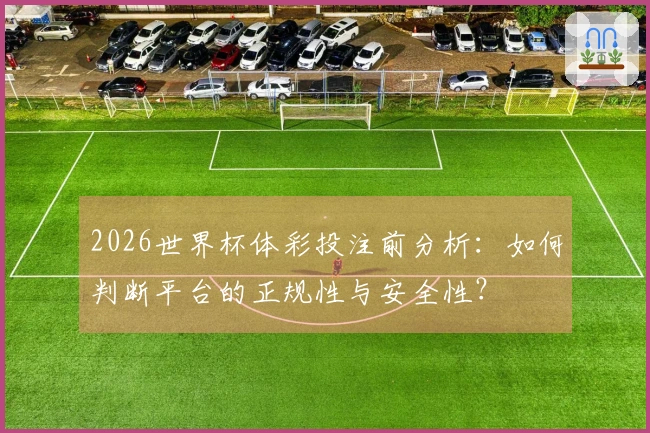 2026世界杯体彩投注前分析：如何判断平台的正规性与安全性？