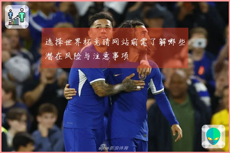 选择世界杯竞猜网站前需了解哪些潜在风险与注意事项