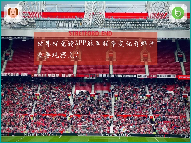 世界杯竞猜APP冠军赔率变化有哪些重要观察点？