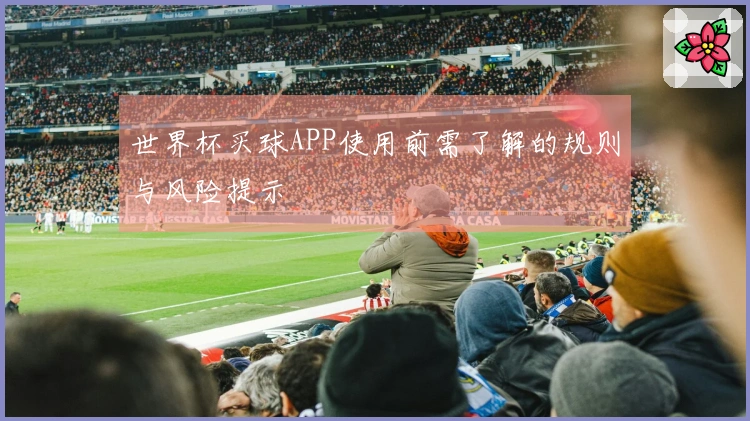 世界杯买球APP使用前需了解的规则与风险提示