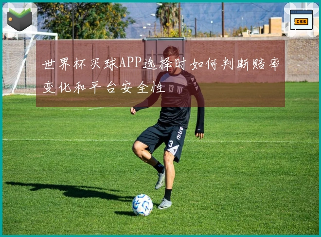 世界杯买球APP选择时如何判断赔率变化和平台安全性