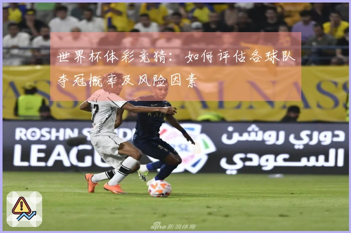 世界杯体彩竞猜：如何评估各球队夺冠概率及风险因素