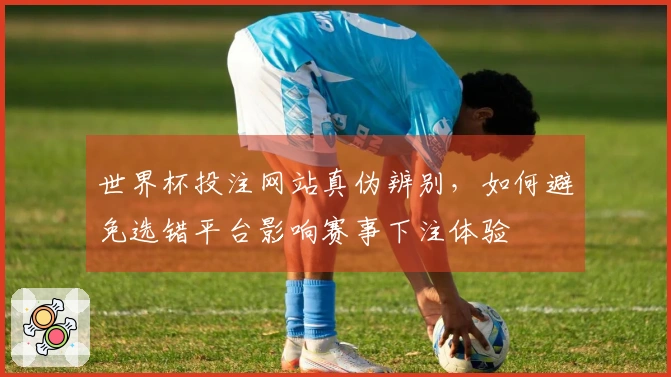 世界杯投注网站真伪辨别，如何避免选错平台影响赛事下注体验