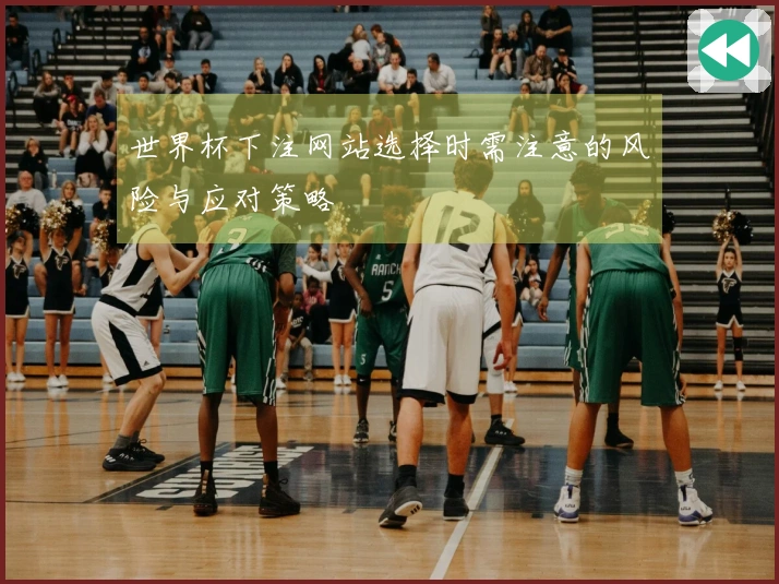 世界杯下注网站选择时需注意的风险与应对策略