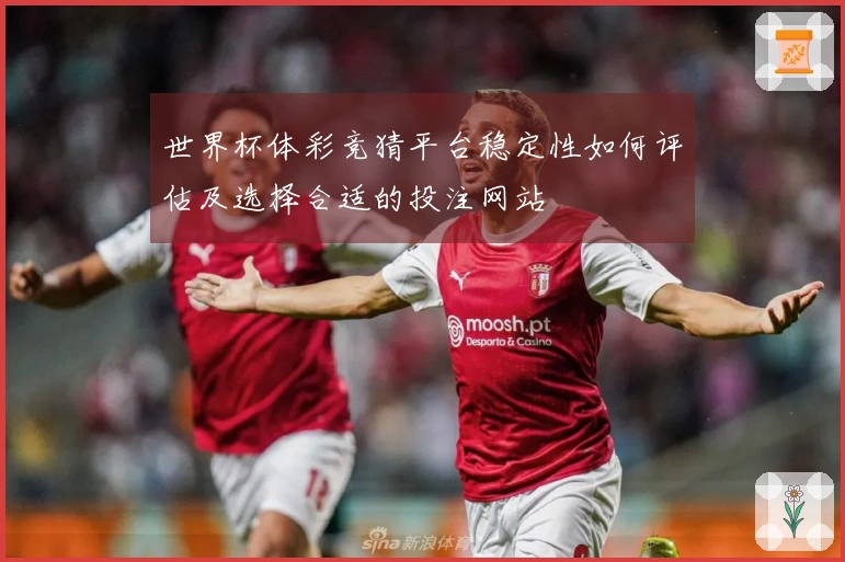 世界杯体彩竞猜平台稳定性如何评估及选择合适的投注网站